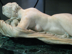 Hermaphrodite