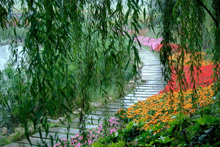Bamboo and Flowers