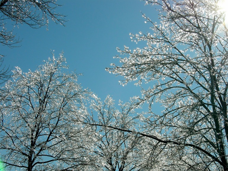 Blue Sky