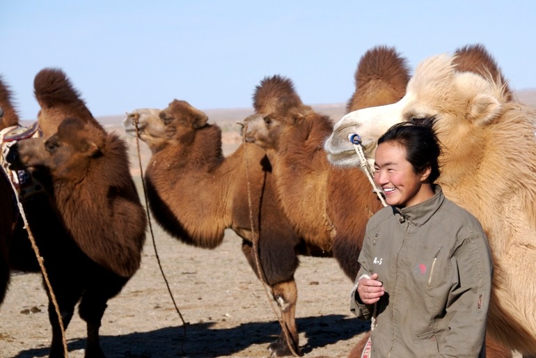 Camels