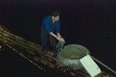 Cormorant Caught a Fixh