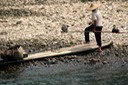 Cormorant Fisherman