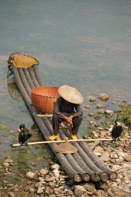 Cormorant Fisherman