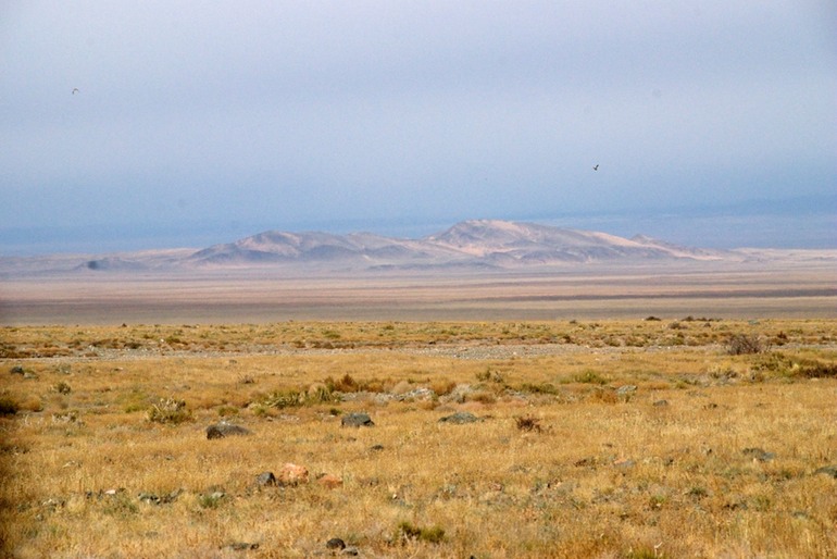 Desert and Mountans