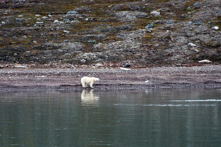 DSC_1055 Svalbard 2011-07-11 13.48.45