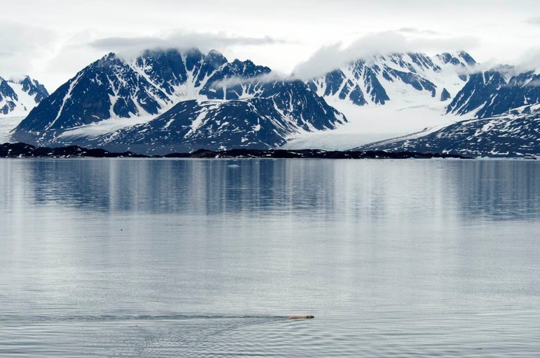 DSC_1087 Svalbard 2011-07-11 13.59.27