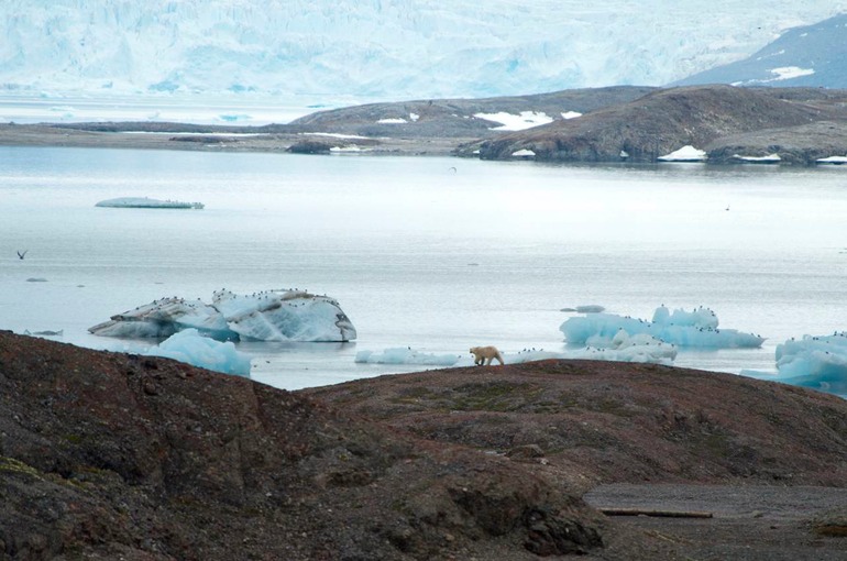 DSC_1170 Svalbard 2011-07-11 17.48.06
