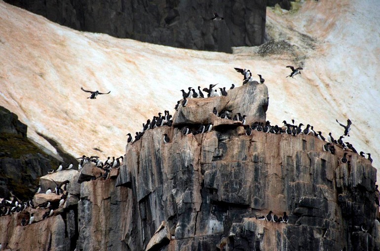DSC_1391 Svalbard 2011-07-12 06.35.32