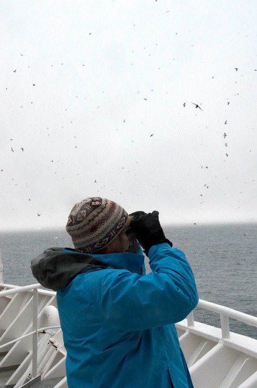 DSC_1463 Svalbard 2011-07-12 06.56.06