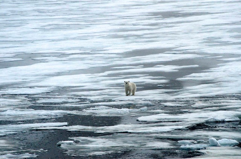 DSC_1755 Svalbard 2011-07-13 08.24.36
