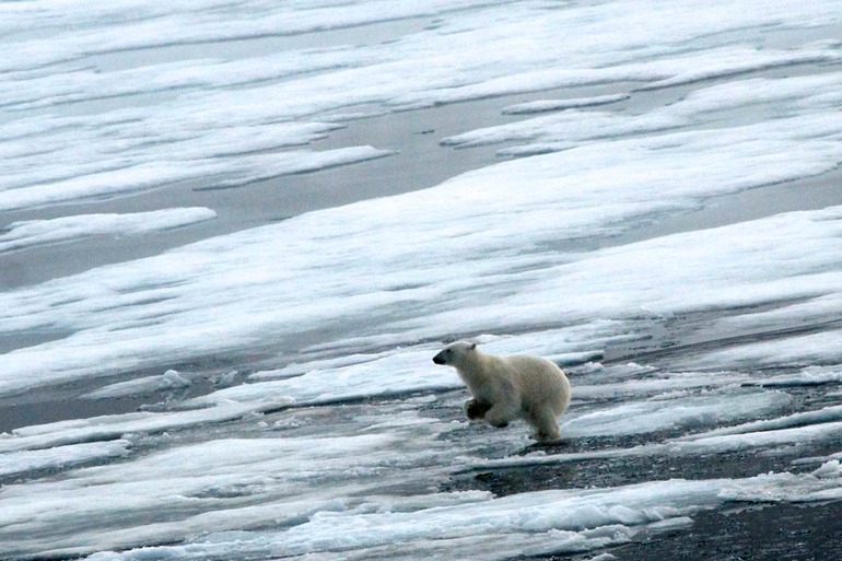 DSC_1758 Svalbard 2011-07-13 08.24.49