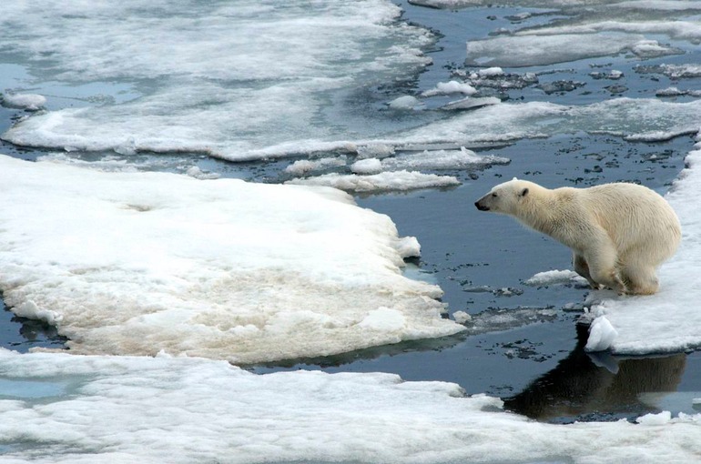 DSC_1778 Svalbard 2011-07-13 08.27.55