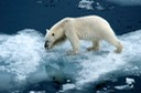 DSC_1790 Svalbard 2011-07-13 08.29.40