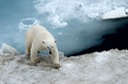 DSC_1804 Svalbard 2011-07-13 08.31.38