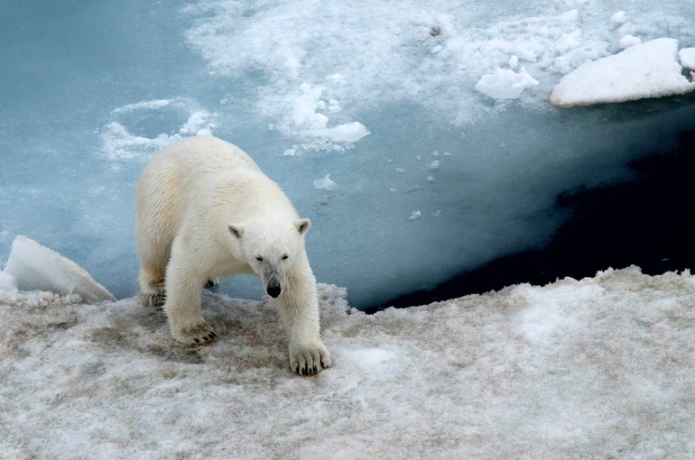 DSC_1804 Svalbard 2011-07-13 08.31.38