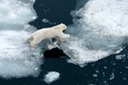 DSC_1828 Svalbard 2011-07-13 08.36.22