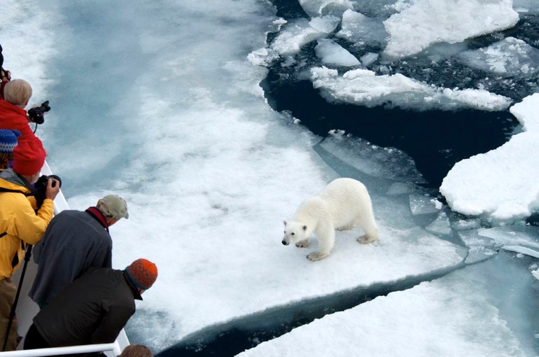 DSC_1841 Svalbard 2011-07-13 08.39.26