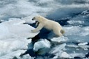 DSC_1851 Svalbard 2011-07-13 08.41.32