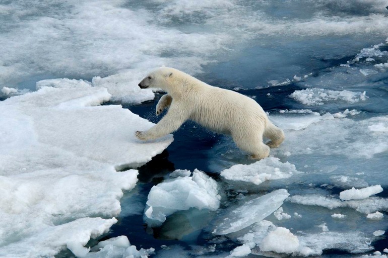 DSC_1851 Svalbard 2011-07-13 08.41.32