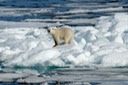 DSC_1870 Svalbard 2011-07-13 08.46.53
