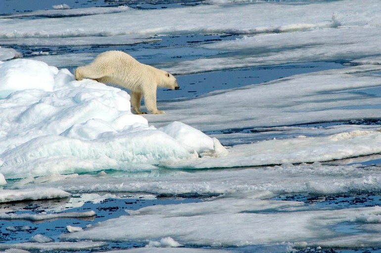 DSC_1881 Svalbard 2011-07-13 08.48.16