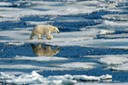 DSC_1886 Svalbard 2011-07-13 08.49.52