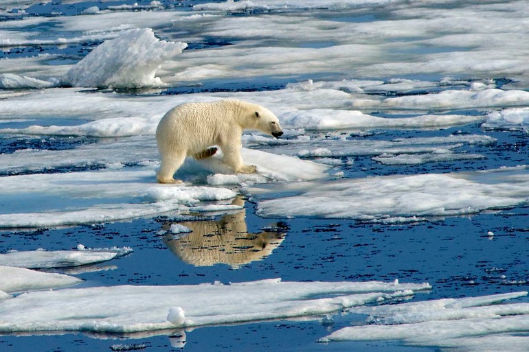 DSC_1889 Svalbard 2011-07-13 08.49.58