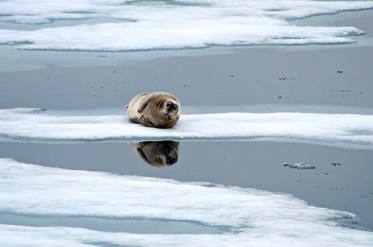 DSC_1968 Svalbard 2011-07-13 10.25.51