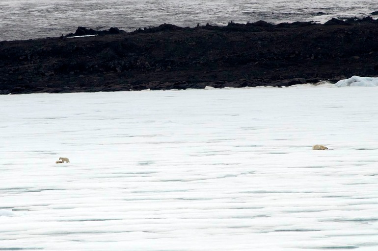 DSC_2003 Svalbard 2011-07-13 12.01.46
