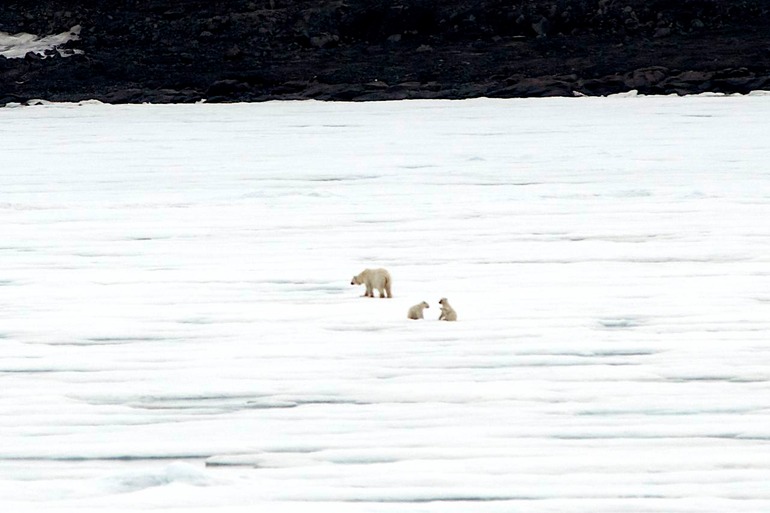 DSC_2007 Svalbard 2011-07-13 12.07.04
