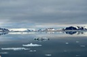 DSC_2021 Svalbard 2011-07-13 13.05.19