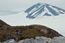 DSC_2442 Svalbard 2011-07-15 14.42.36