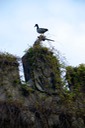 DSC_3165 Ireland 2011-04-20 08.39.04
