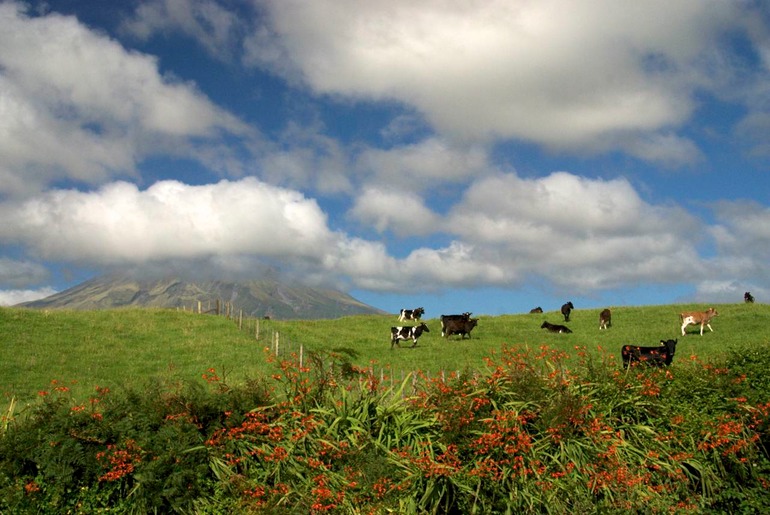 DSC_5460 NZ2010 2010-02-20 16.23.55
