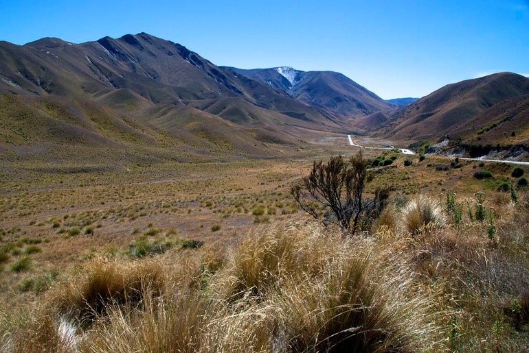 DSC_6126 NZ2010 2010-03-04 12.47.33