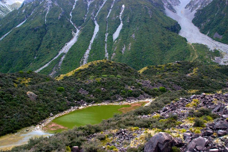 DSC_6204 NZ2010 2010-03-05 11.39.57