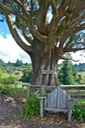 DSC_6965 NZ2008 2008-03-14 13.59.47