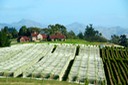 DSC_7138 NZ2008 2008-03-16 16.42.19