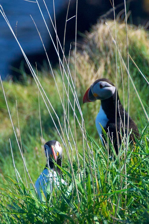 DSC_8467 UK Ireland 2010-05-06 15.20.34