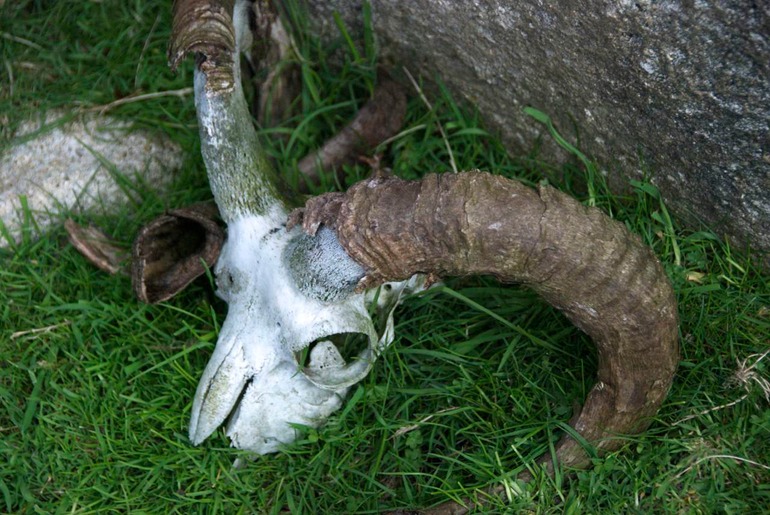 DSC_8719 UK Ireland 2010-05-07 10.39.53