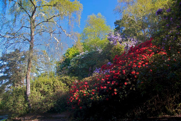 DSC_8938 UK Ireland 2010-05-08 09.10.55