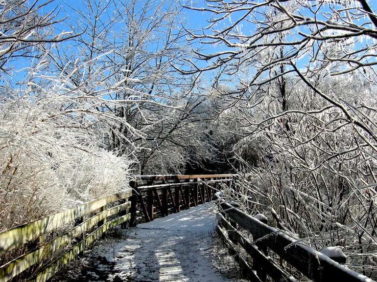 Huron River Foot Bridge