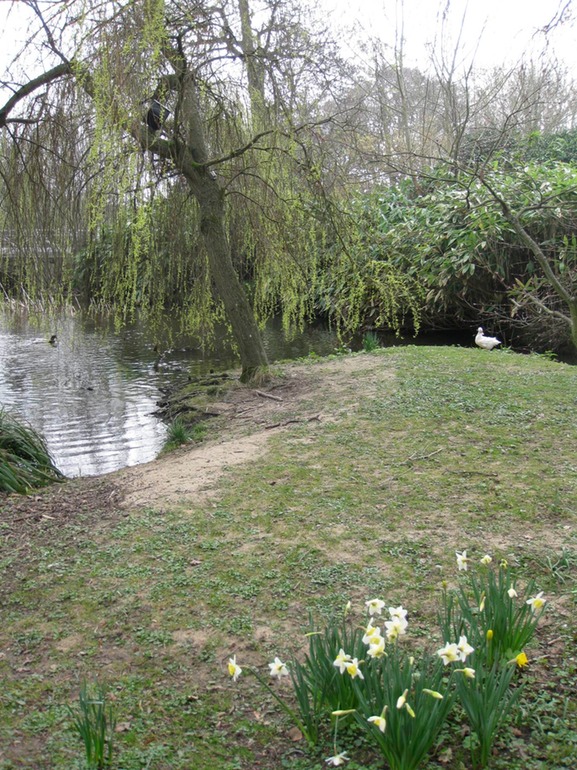 IMG_3418 UK 2011-03-16 11.54.55
