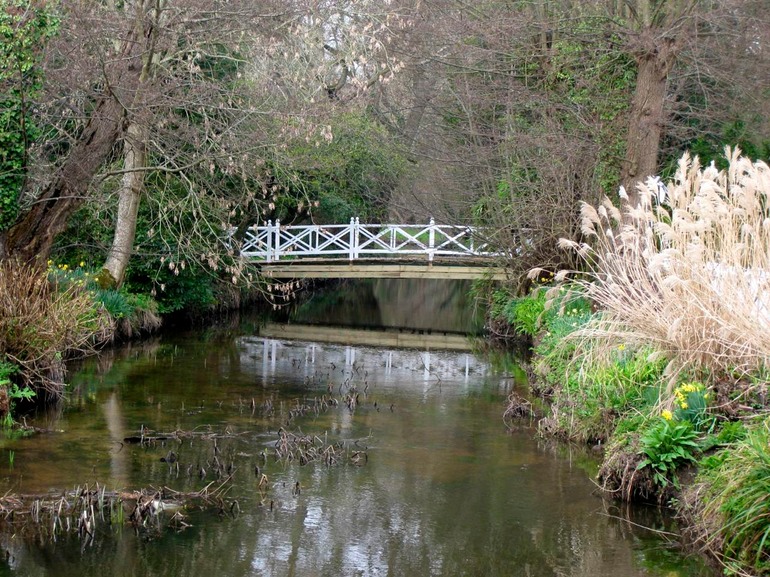 IMG_3422 UK 2011-03-16 11.57.00
