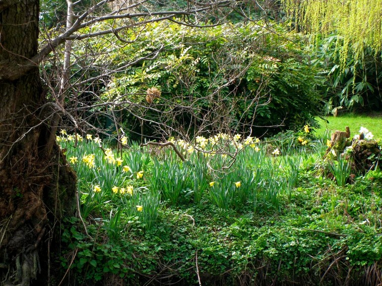 IMG_3428 UK 2011-03-16 12.02.49