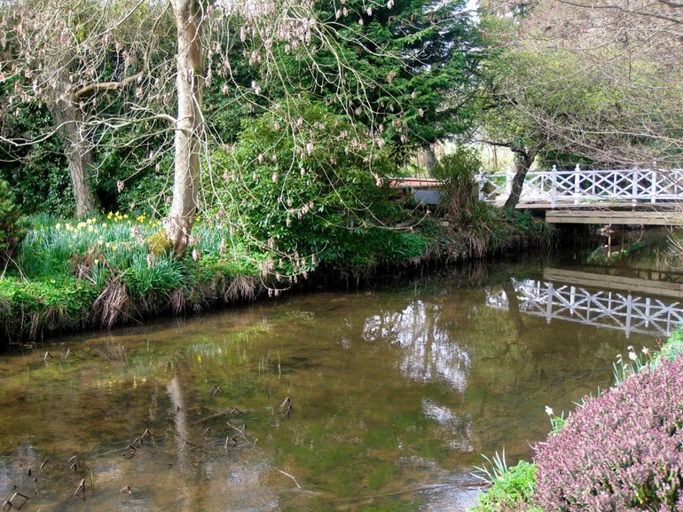 IMG_3429 UK 2011-03-16 12.03.17
