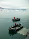 IMG_3640 Svalbard 2011-07-15 17.16.01