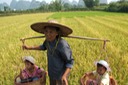 Kids in Baskets