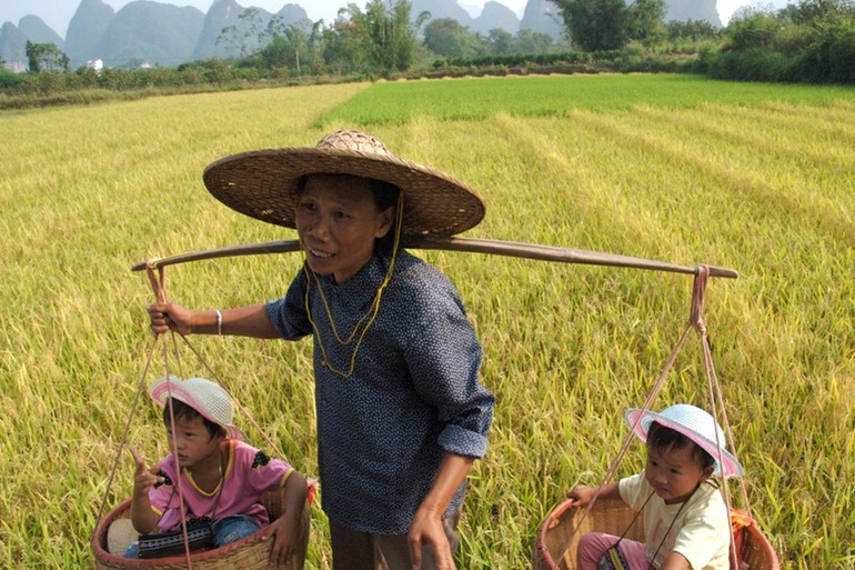 Kids in Baskets