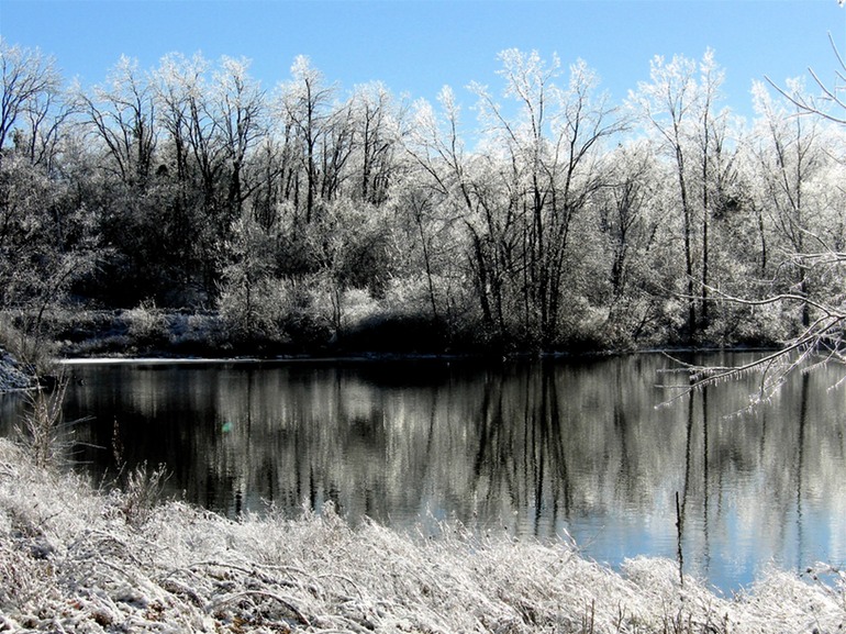 Looking Over the Huron River